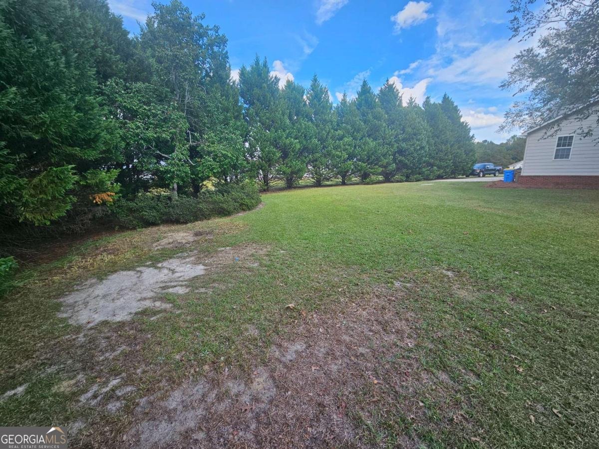 31 Henry Way Tifton - 9