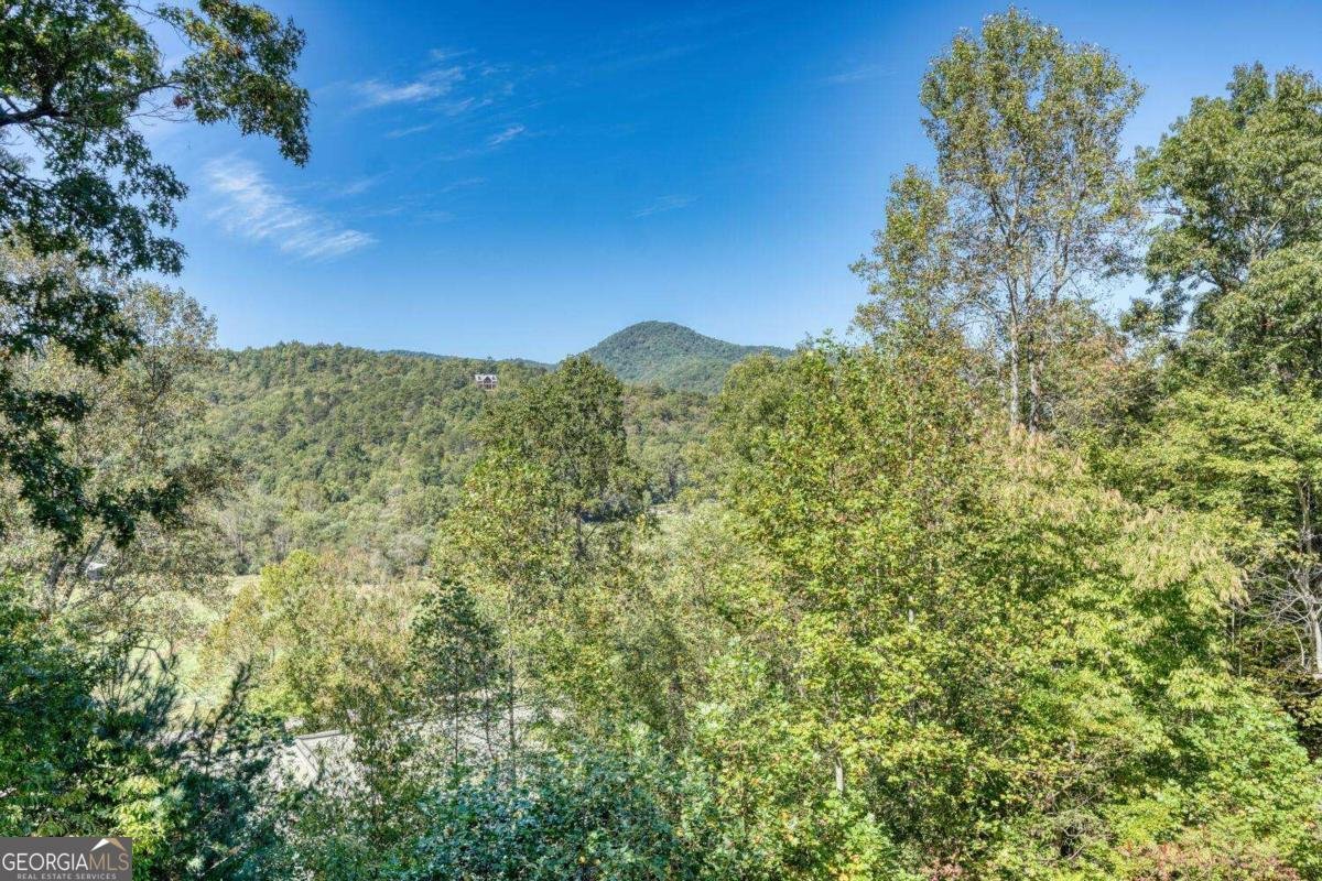5702 Valley View Drive Hiawassee - 5