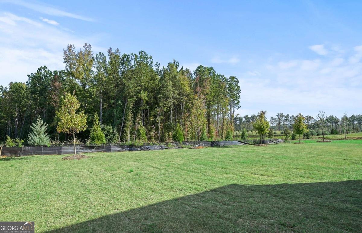 329 Foxglove Way Mcdonough - 37