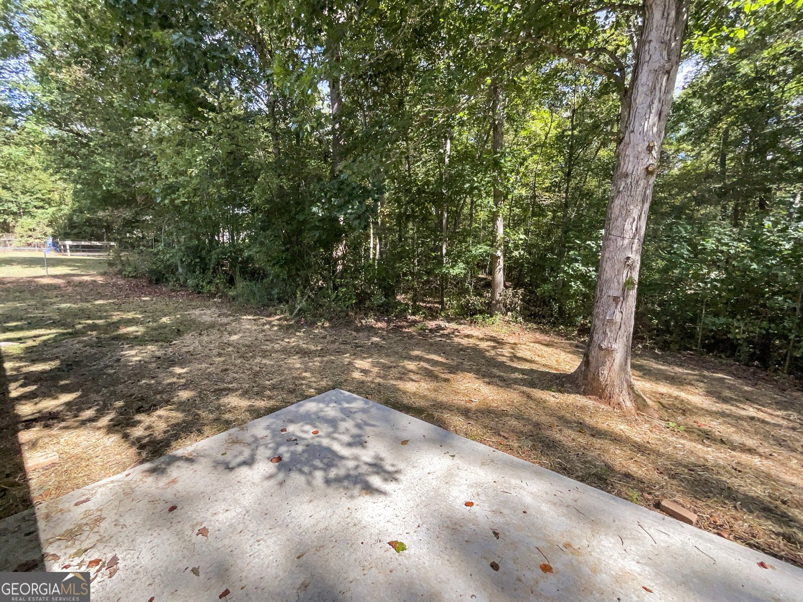 195 Sampson Court Covington - 10