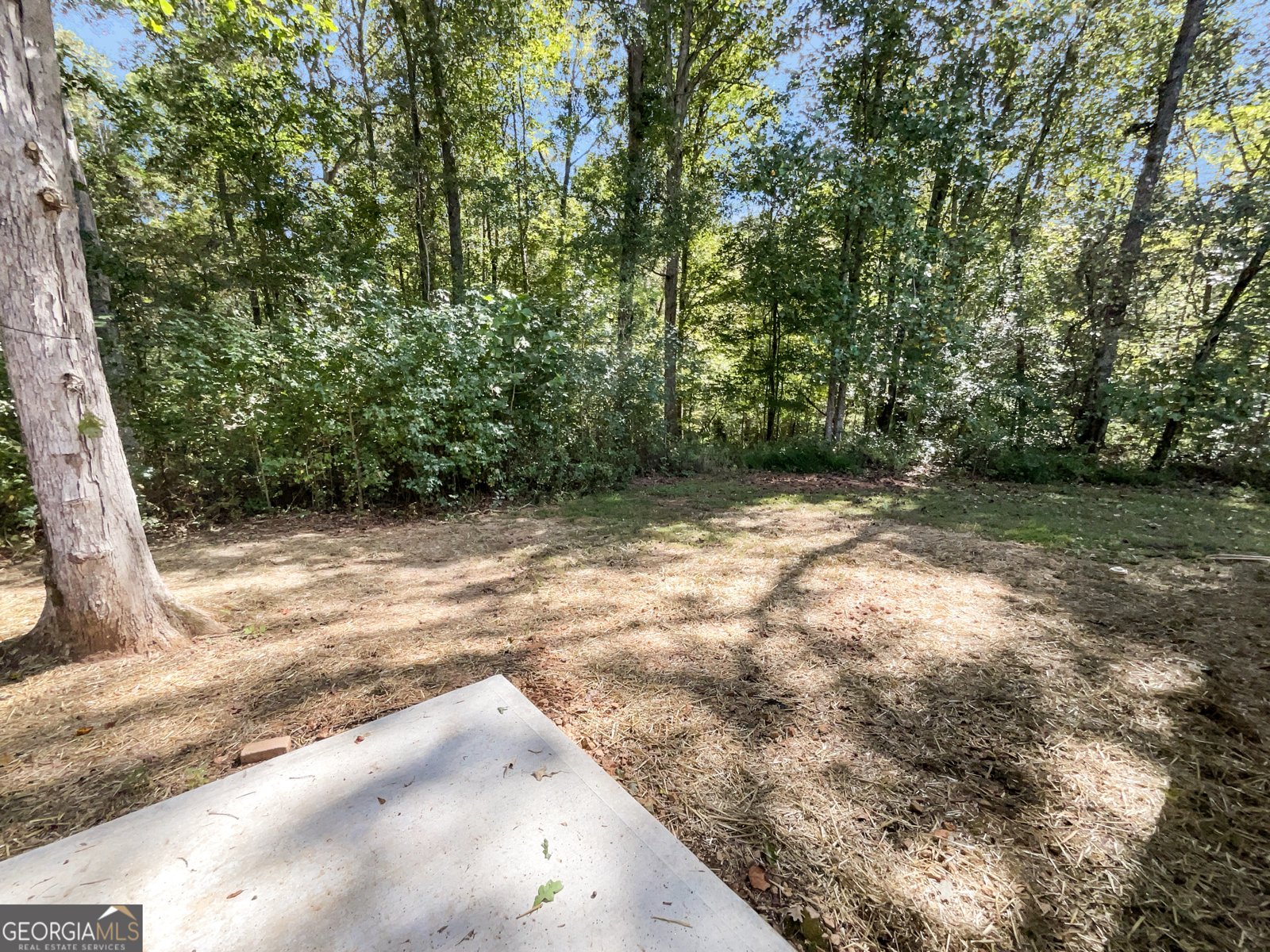 195 Sampson Court Covington - 9