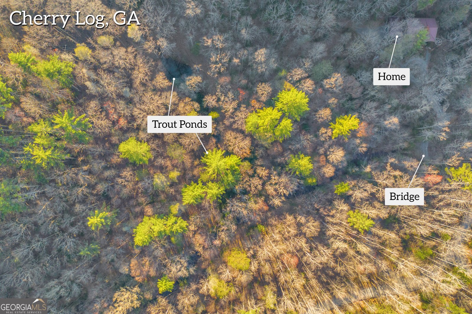 740 Little Rock Creek Road Cherry Log - 70