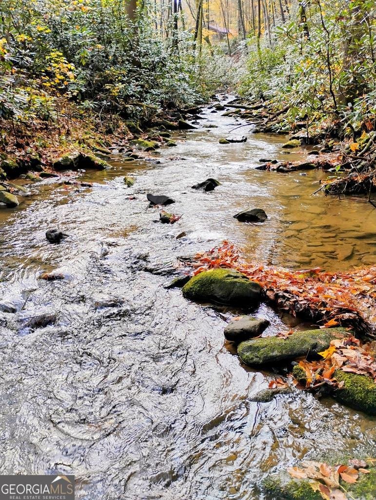 740 Little Rock Creek Road Cherry Log - 74