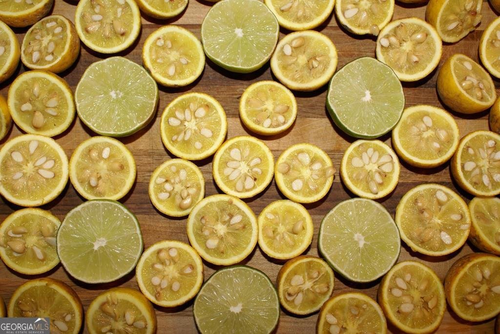 740 Little Rock Creek Road Cherry Log - 78