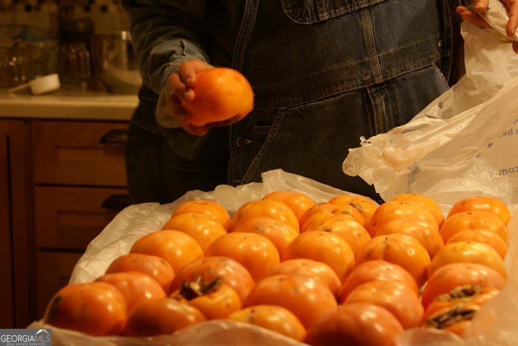 740 Little Rock Creek Road Cherry Log - 79