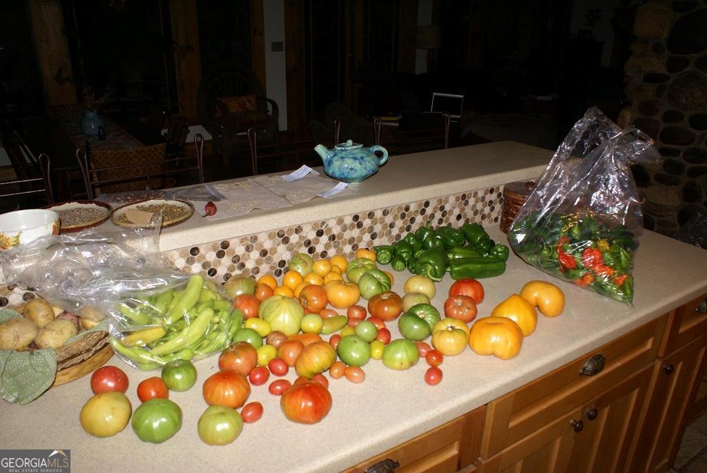 740 Little Rock Creek Road Cherry Log - 80