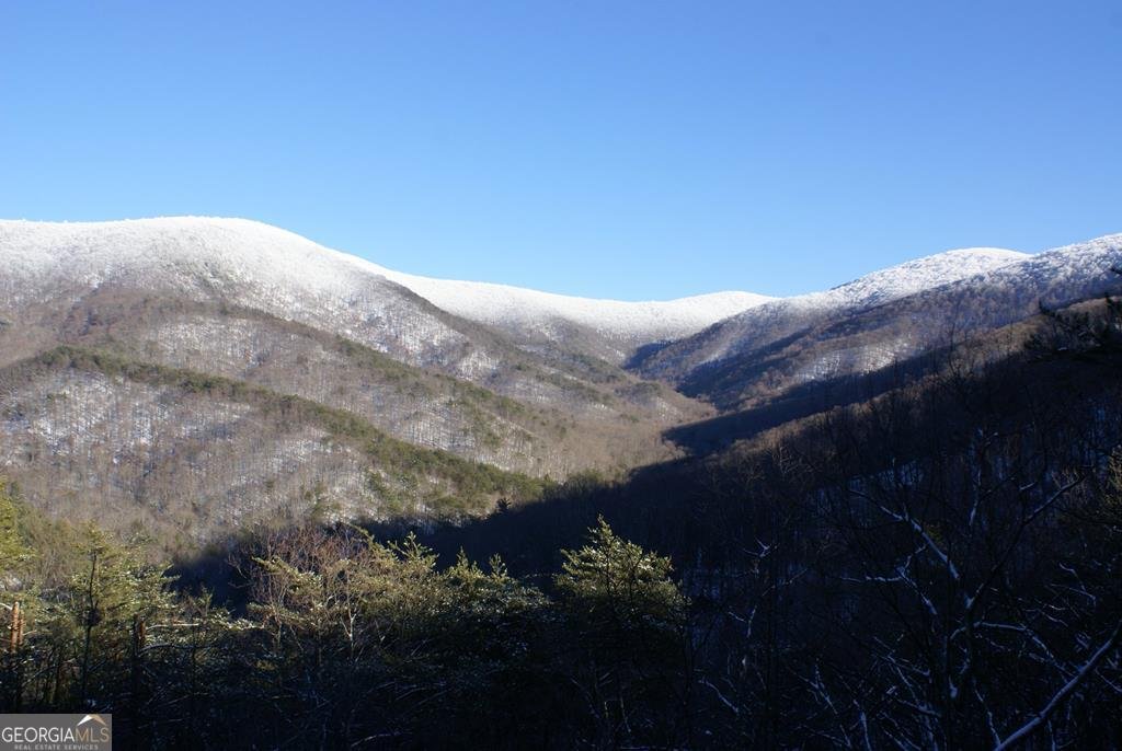 740 Little Rock Creek Road Cherry Log - 81