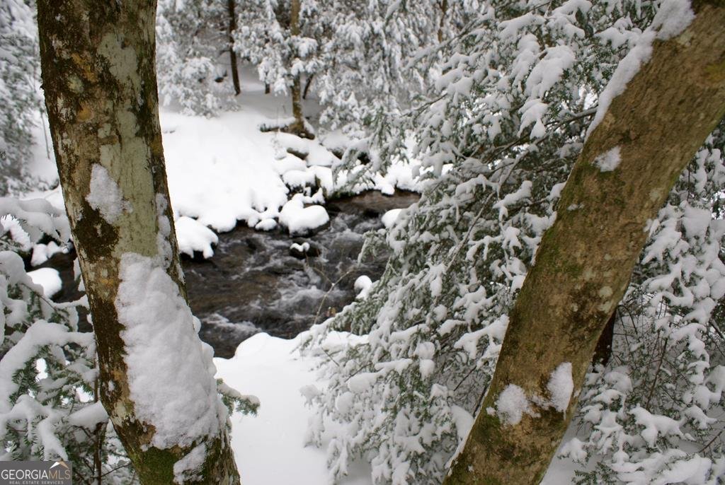 740 Little Rock Creek Road Cherry Log - 82