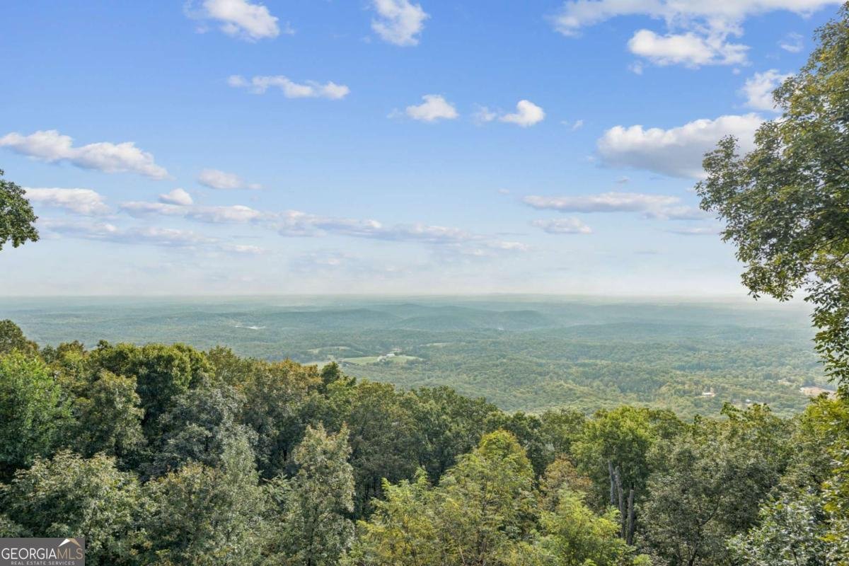 1455 Ridgeview Drive Big Canoe - 21