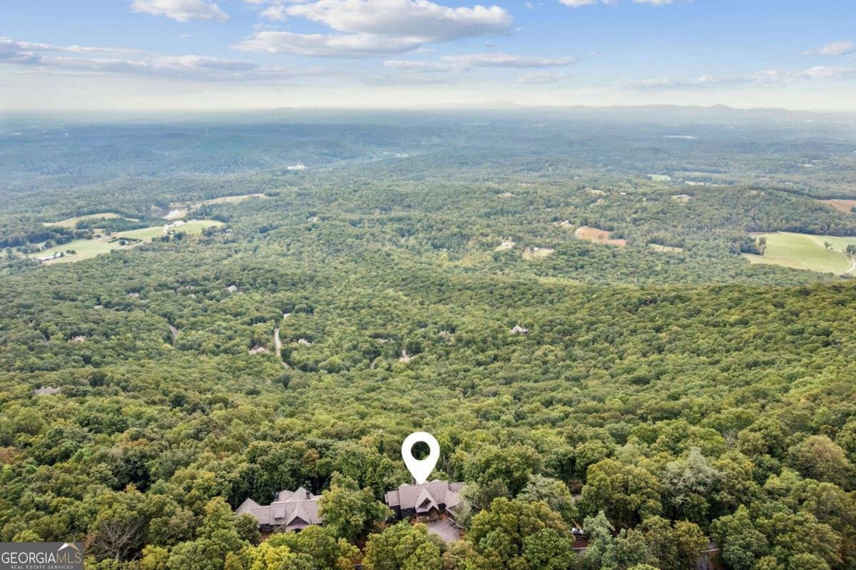 1455 Ridgeview Drive Big Canoe - 59