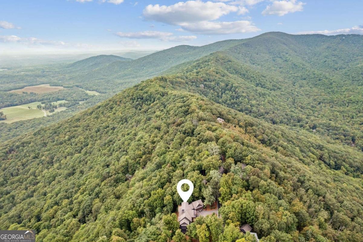 1455 Ridgeview Drive Big Canoe - 60