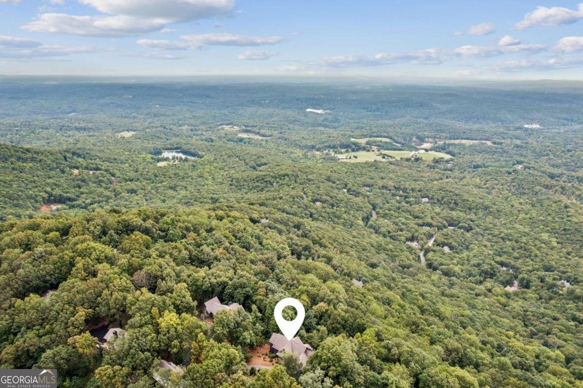 1455 Ridgeview Drive Big Canoe - 61