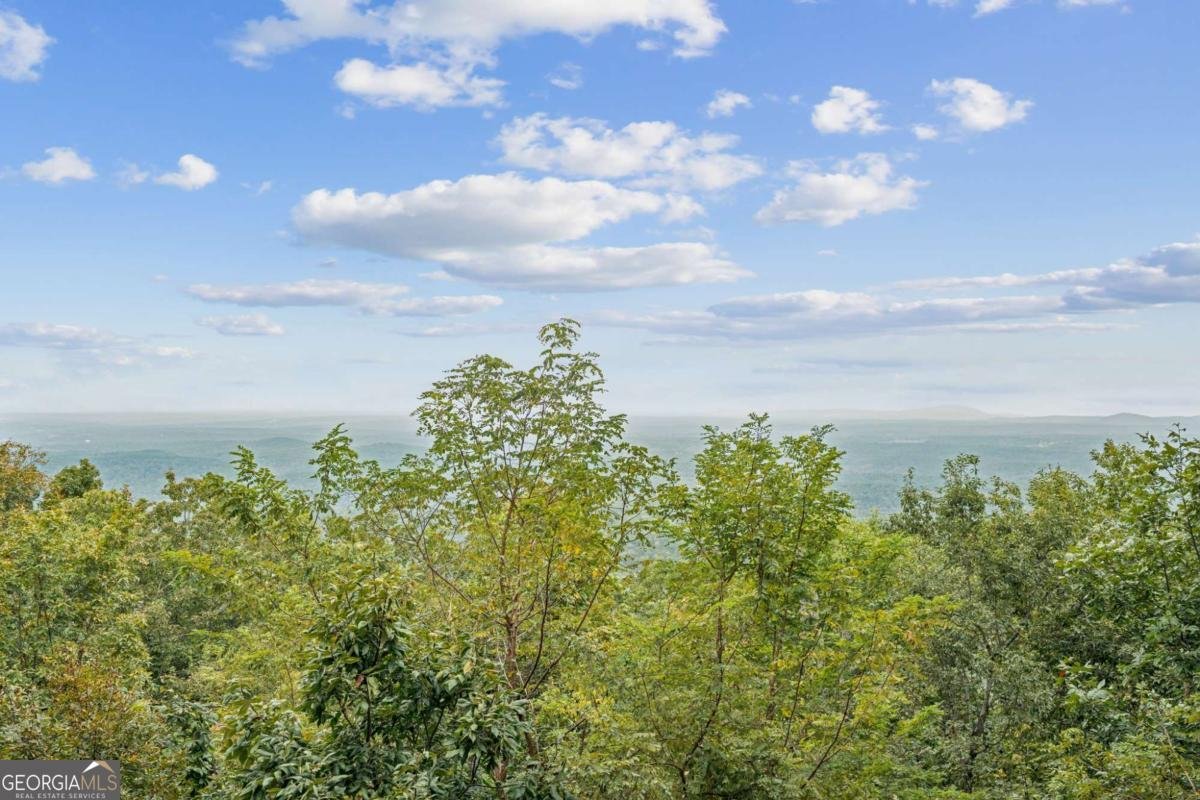 1455 Ridgeview Drive Big Canoe - 62