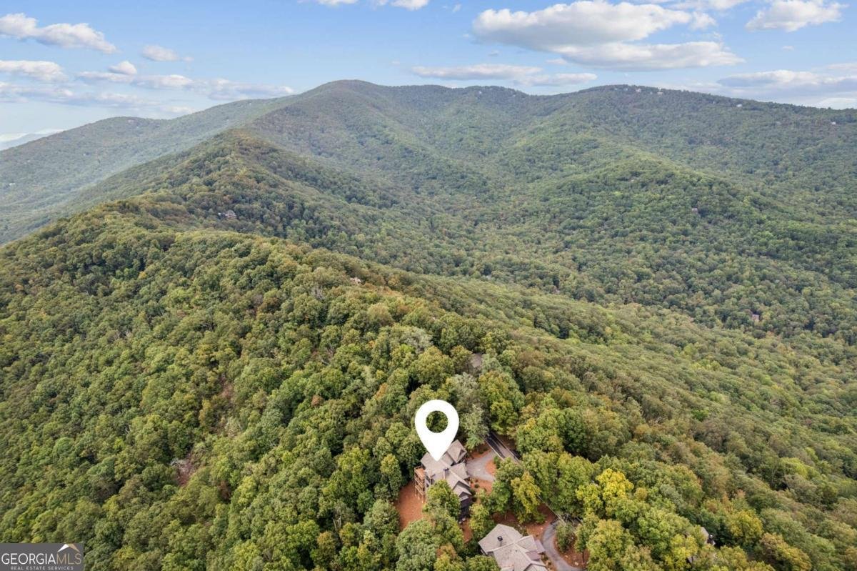 1455 Ridgeview Drive Big Canoe - 64