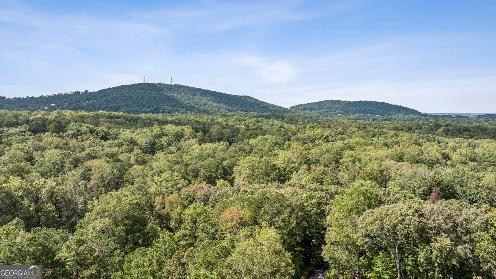 4676 Jefferson Township Lane Marietta - 29