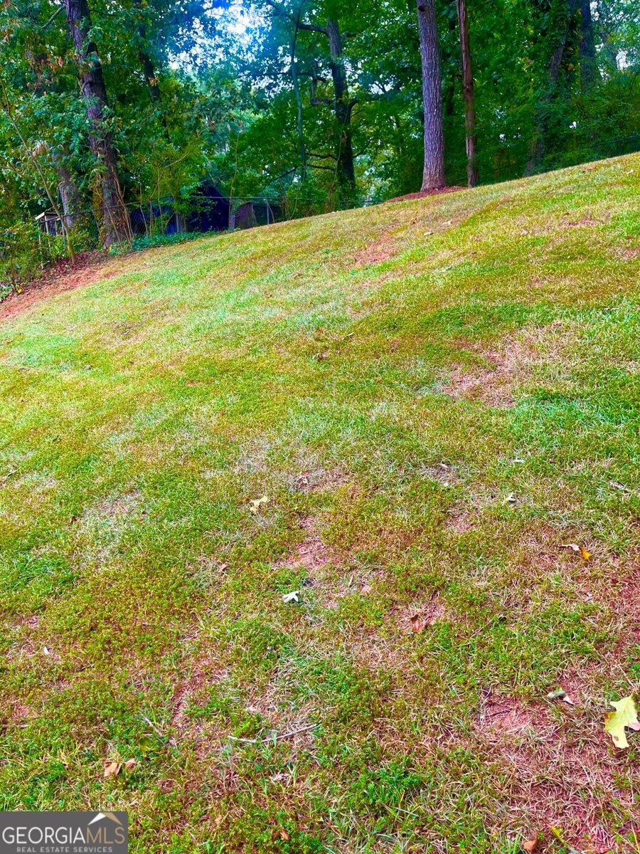 1749 Meadowglades Drive Decatur - 5