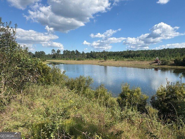 223 Park View Lane Kingsland - 47