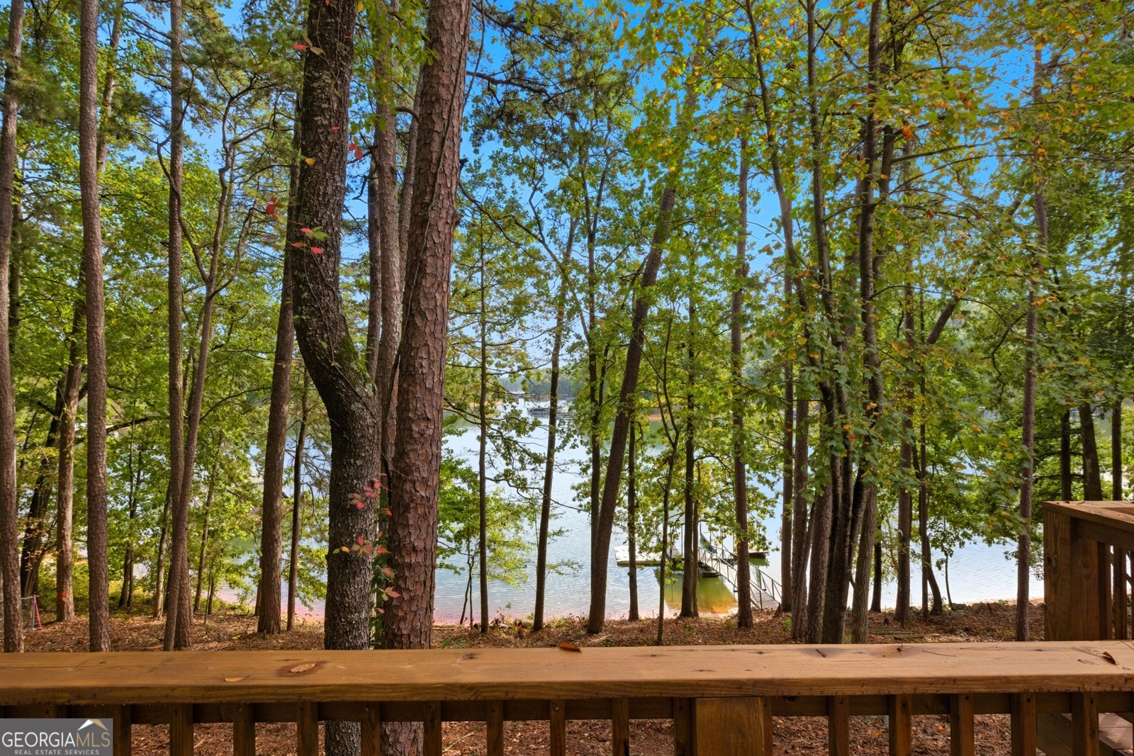 245 Currahee Place Toccoa - 47