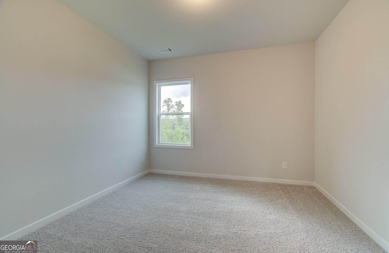 306 Westfall Terrace Loganville - 29