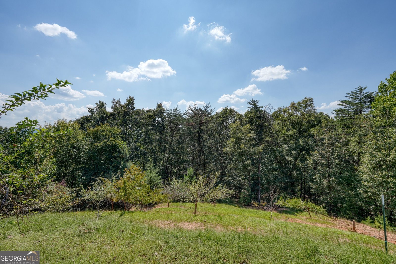 380 Rainbow Mountain Drive Ellijay - 13