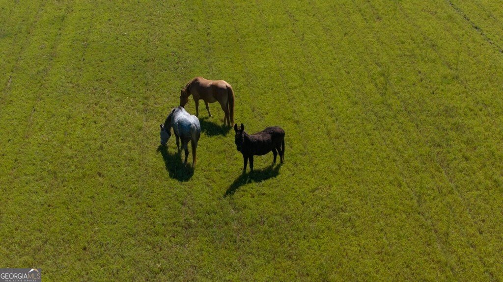 2160 Wall Road Dexter - 21