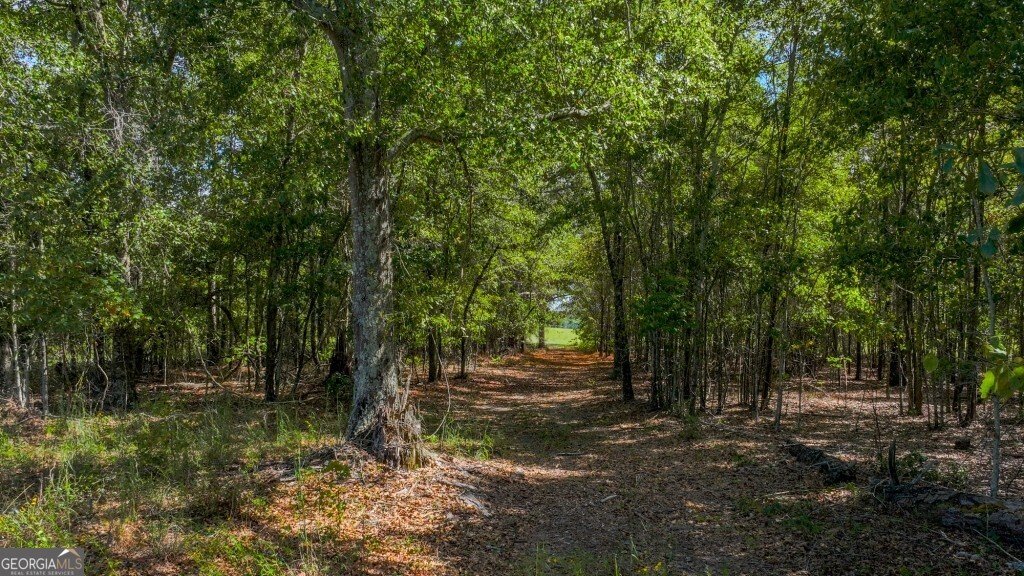 2160 Wall Road Dexter - 22