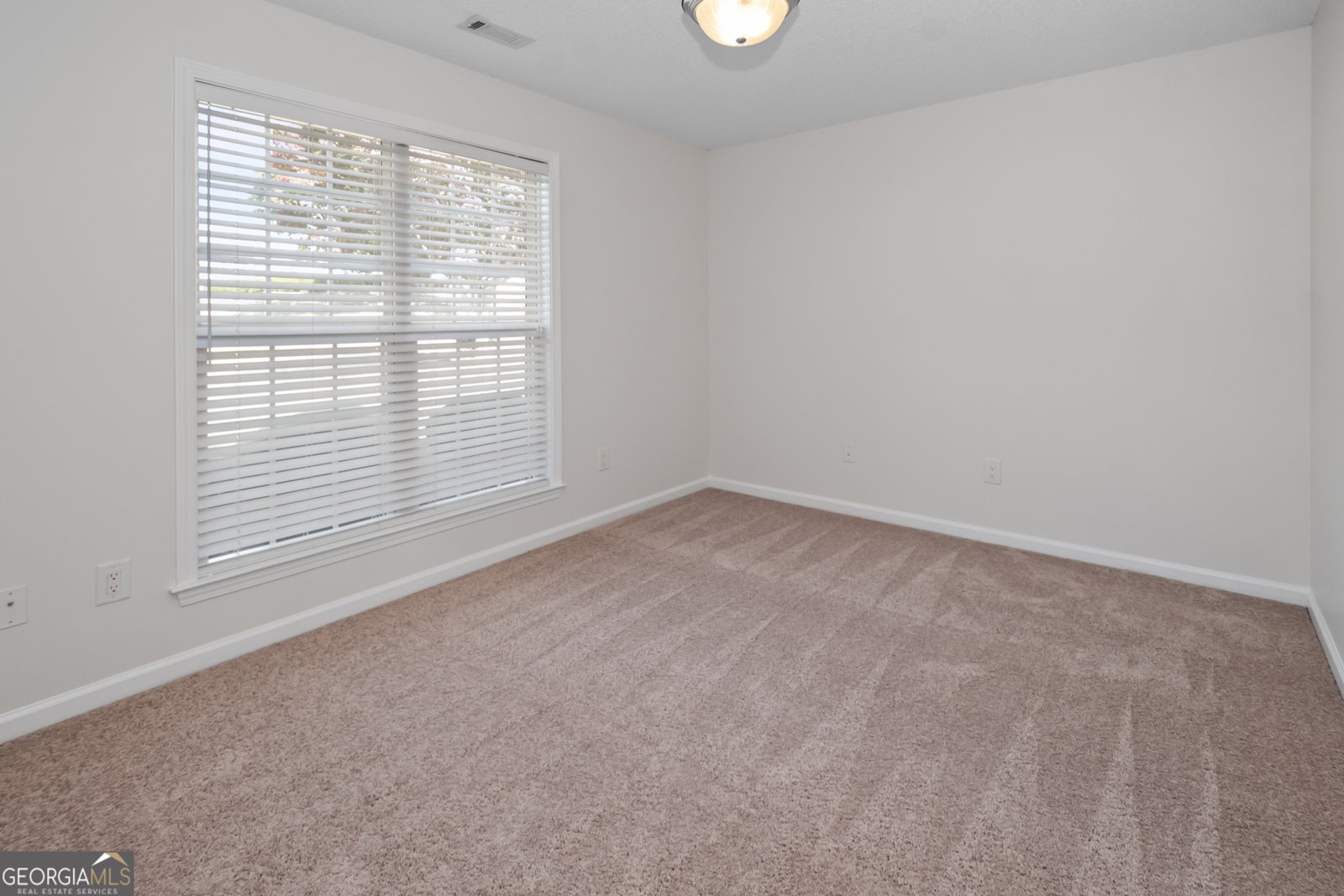 9 Bluegrass Pass Newnan - 22