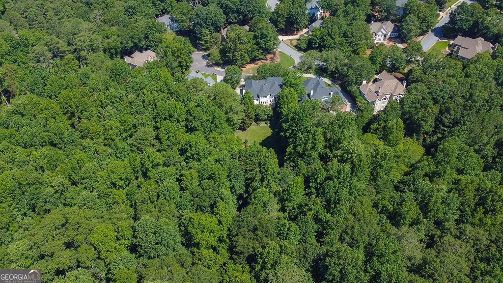 110 Larne Court Roswell - 60