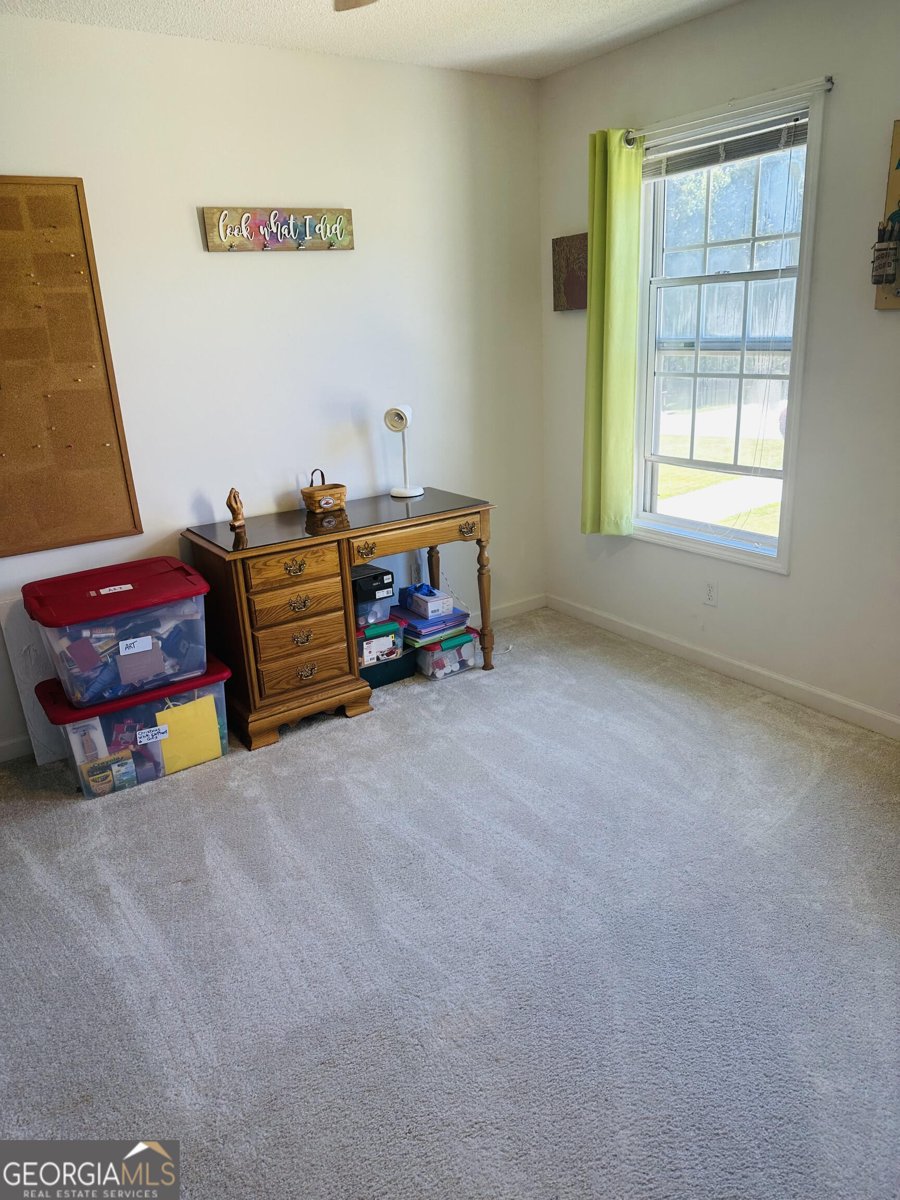 230 Gaelic Way Tyrone - 33