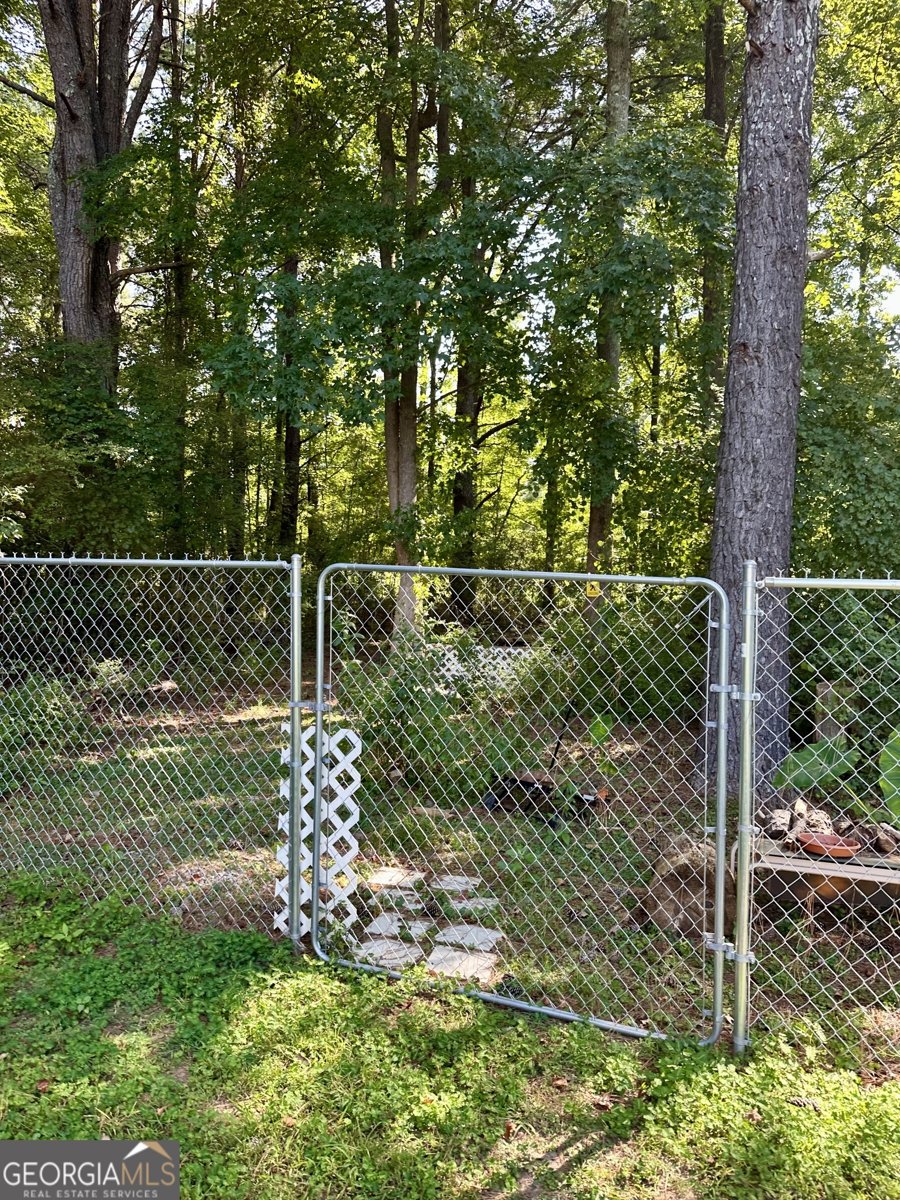 230 Gaelic Way Tyrone - 39