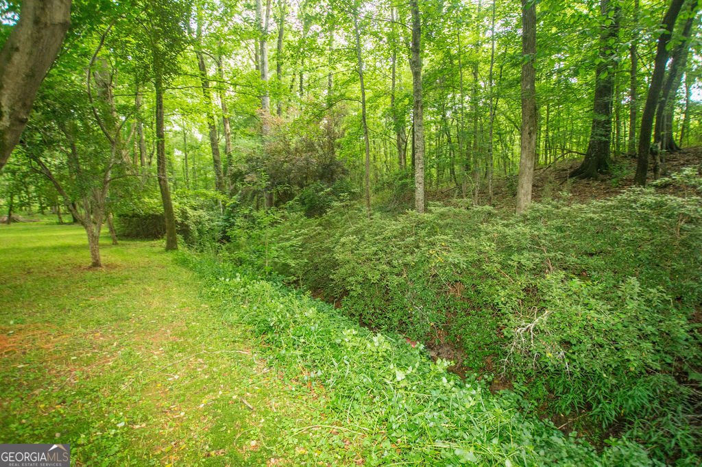 1145 Thurston Snow Road Good Hope - 32