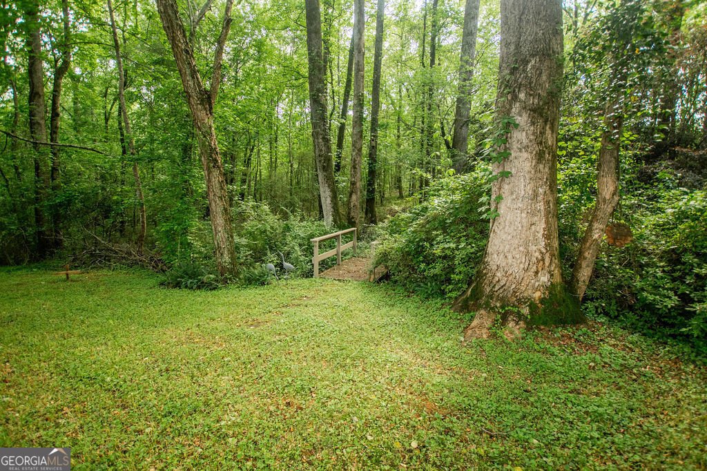 1145 Thurston Snow Road Good Hope - 38