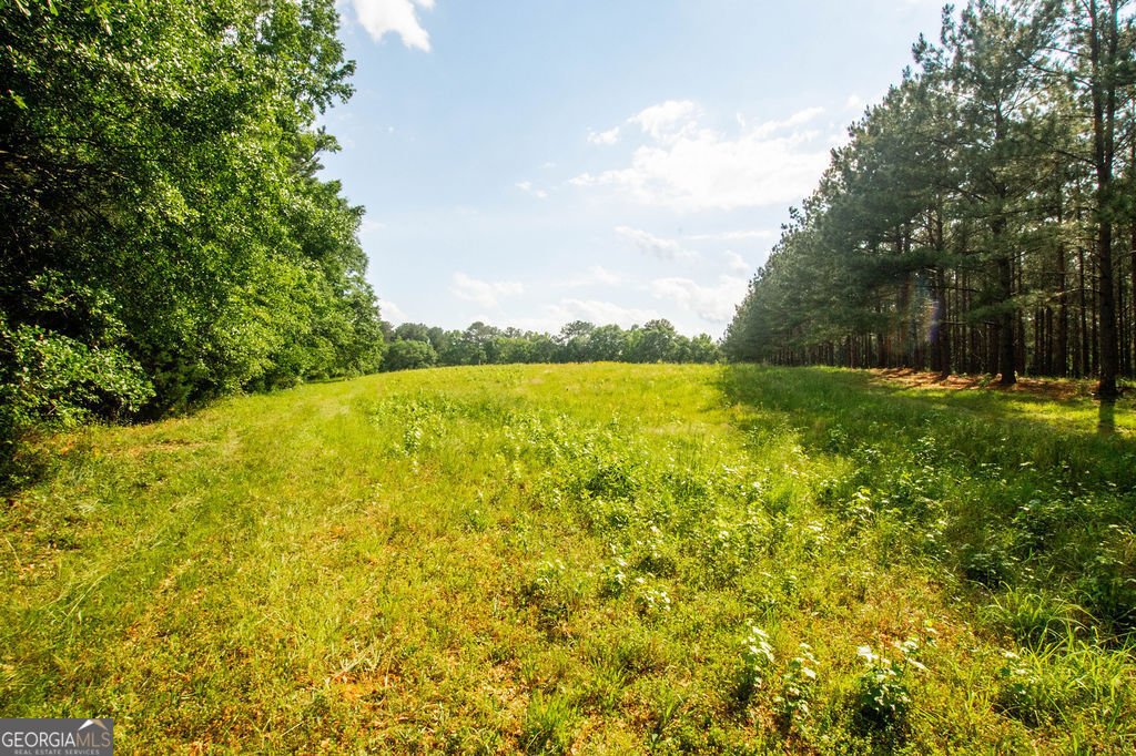 1145 Thurston Snow Road Good Hope - 48