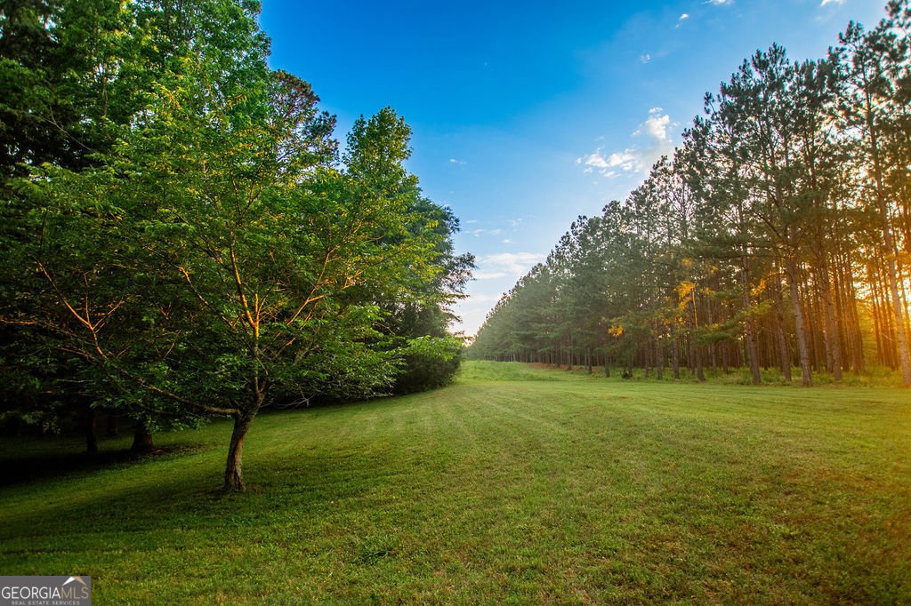 1145 Thurston Snow Road Good Hope - 50