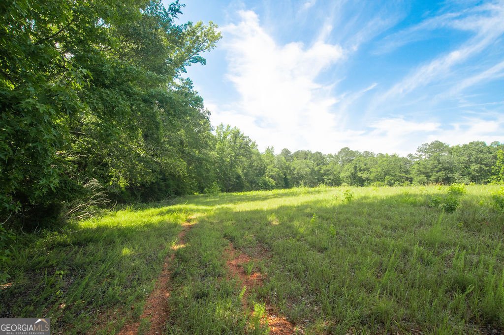 1145 Thurston Snow Road Good Hope - 51