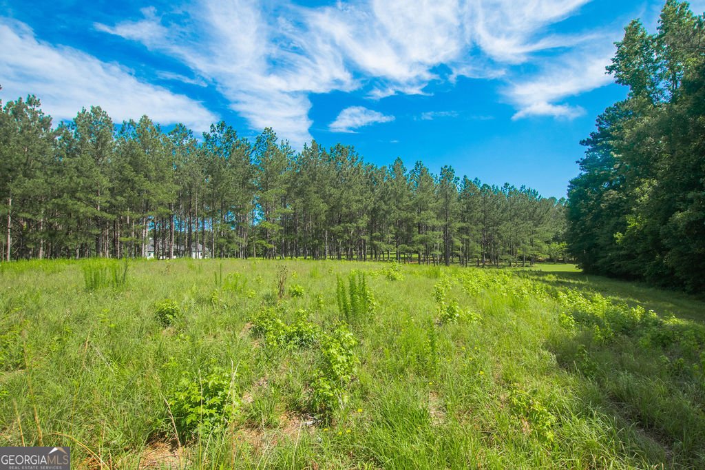 1145 Thurston Snow Road Good Hope - 52