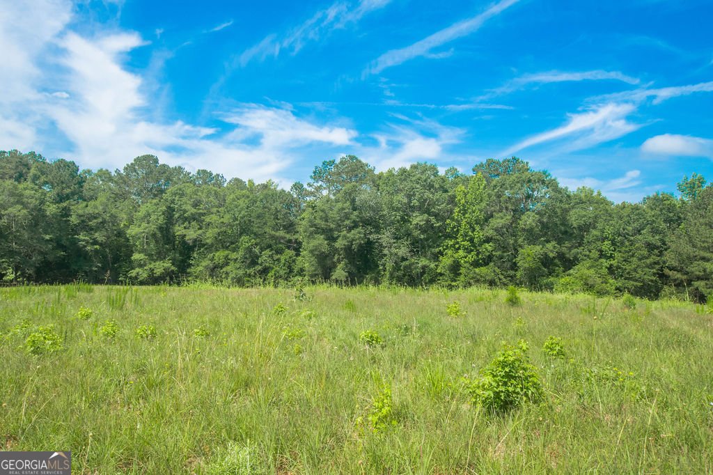 1145 Thurston Snow Road Good Hope - 55