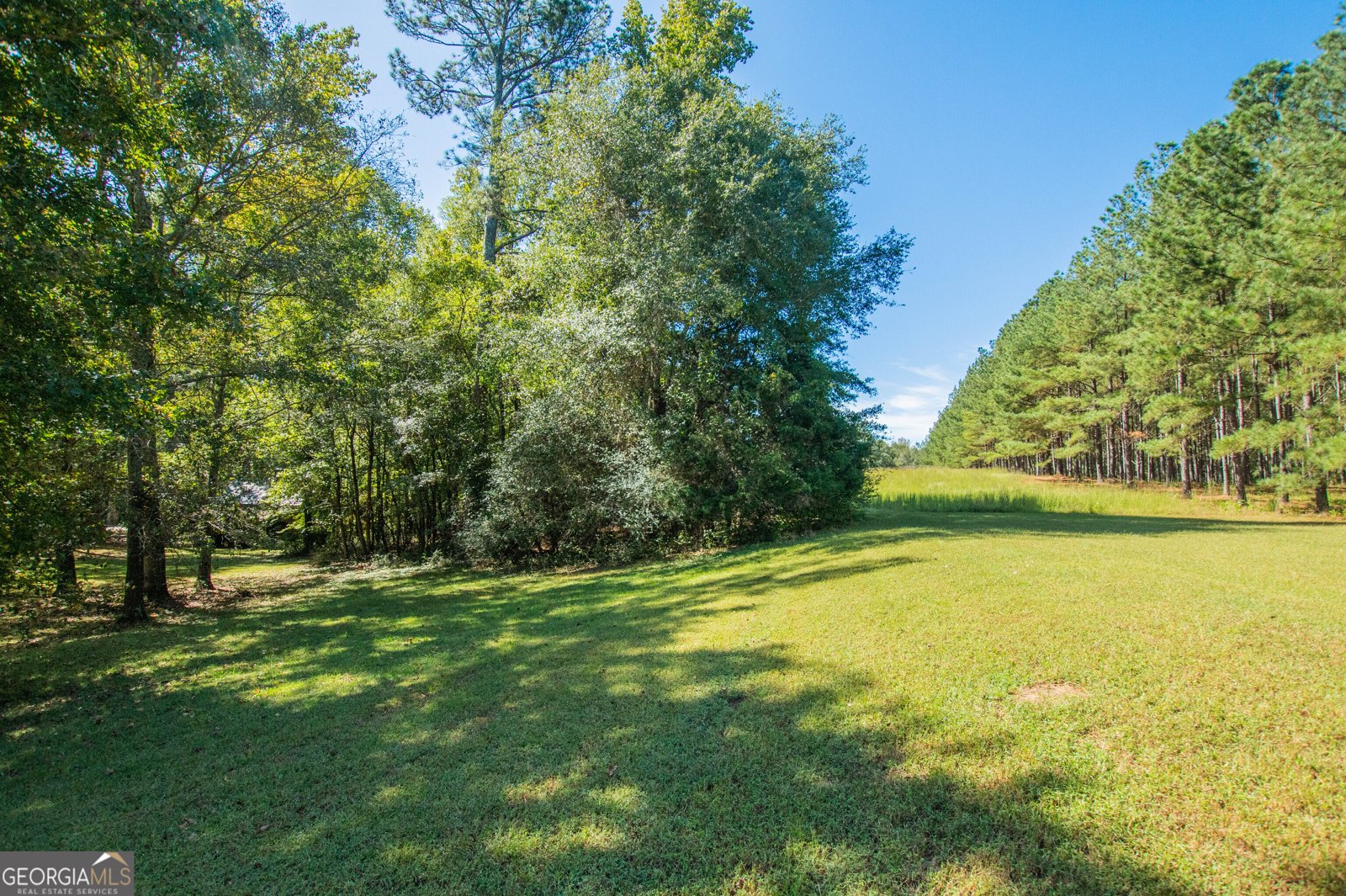 1145 Thurston Snow Road Good Hope - 56