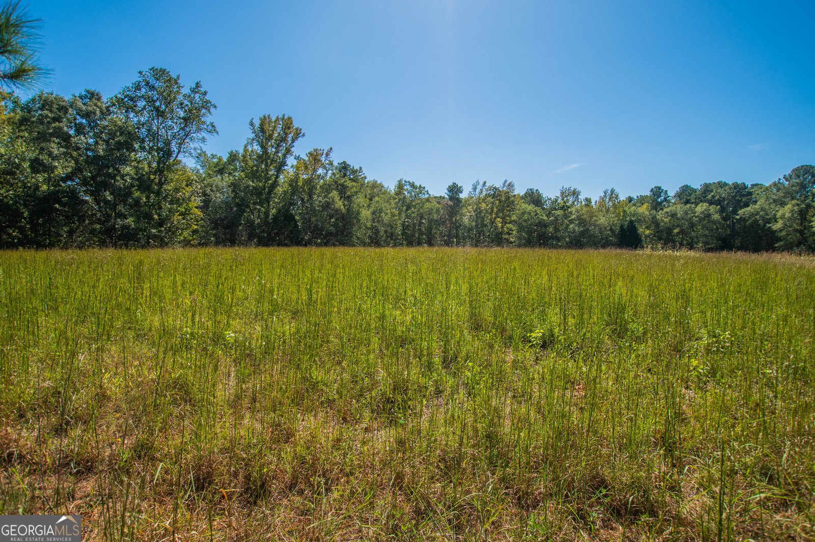 1145 Thurston Snow Road Good Hope - 57