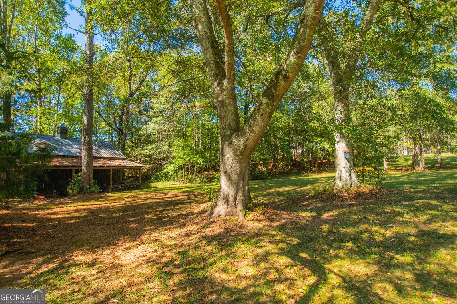 1145 Thurston Snow Road Good Hope - 58