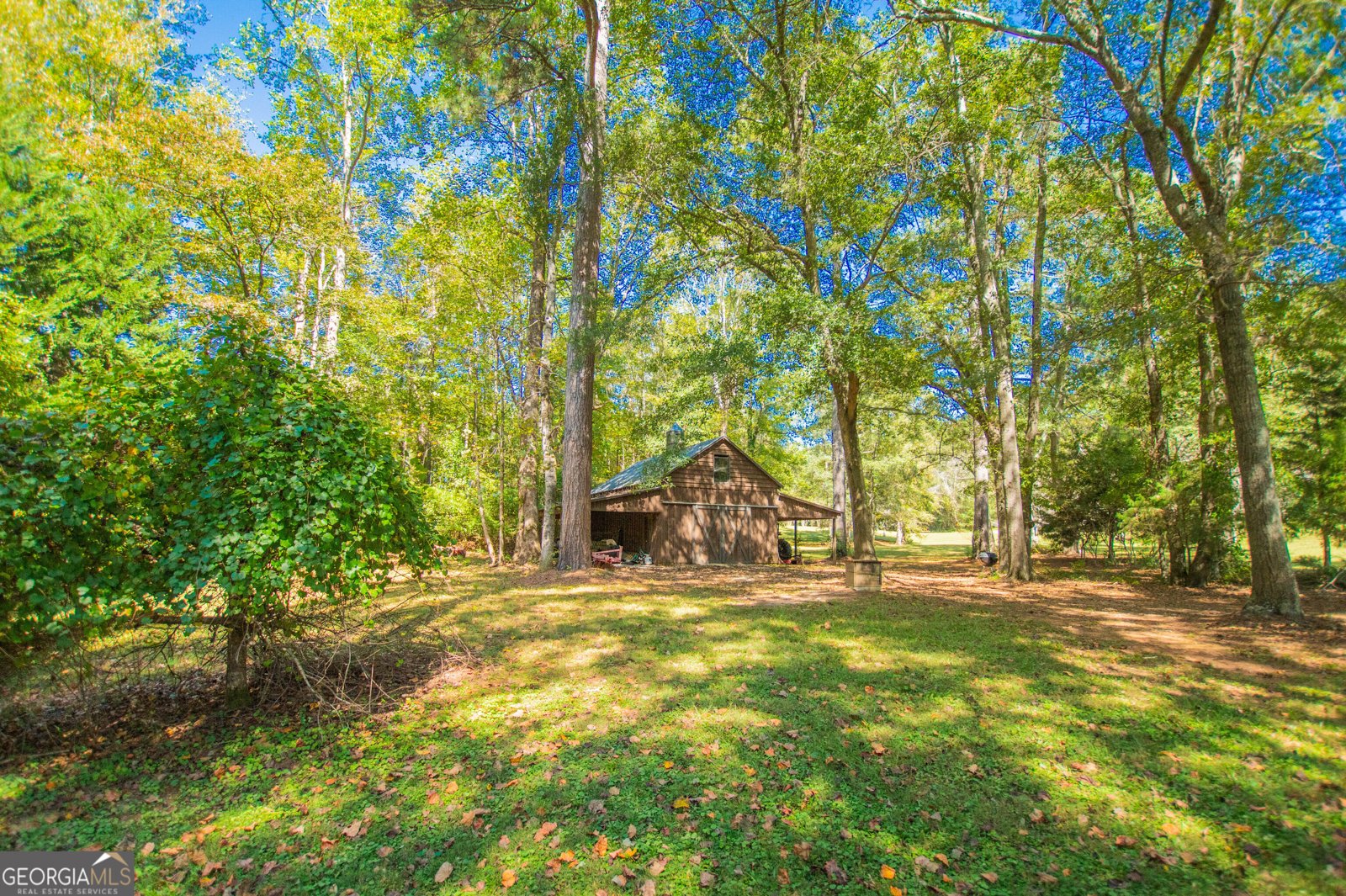 1145 Thurston Snow Road Good Hope - 62