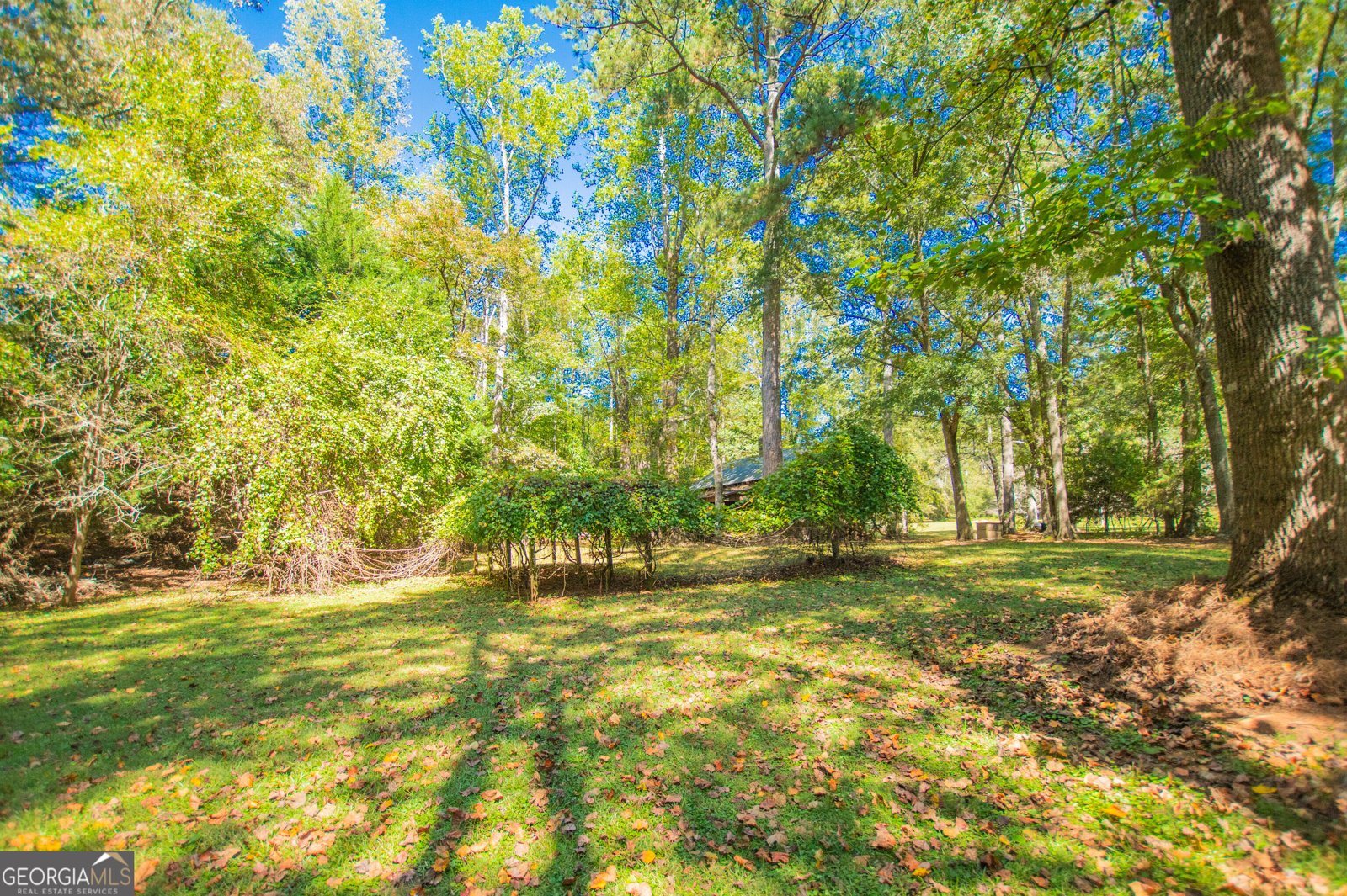1145 Thurston Snow Road Good Hope - 65