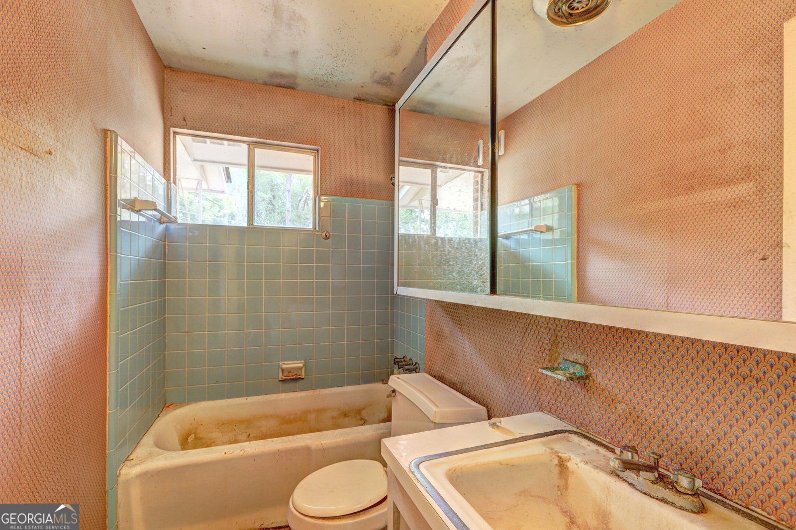 1564 Delia Drive Decatur - 15