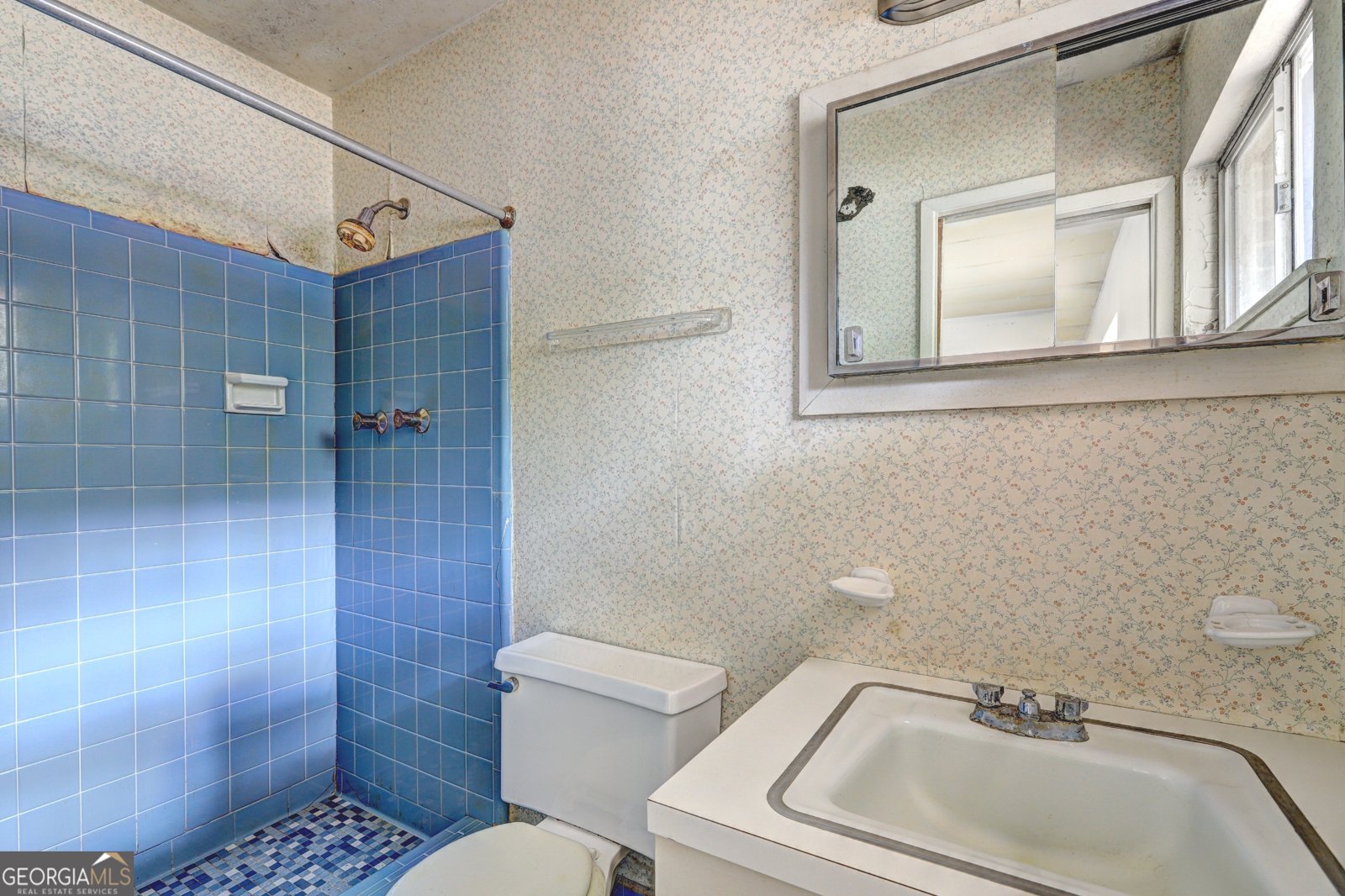 1564 Delia Drive Decatur - 9