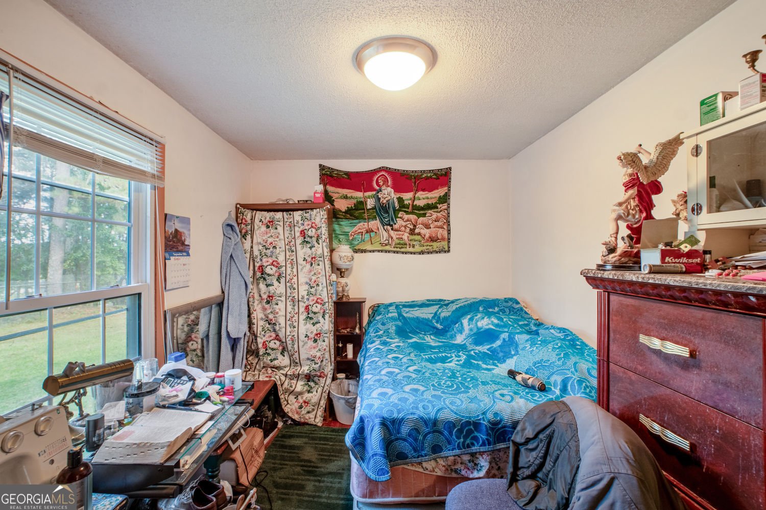 5570 Bold Springs Road Dacula - 20