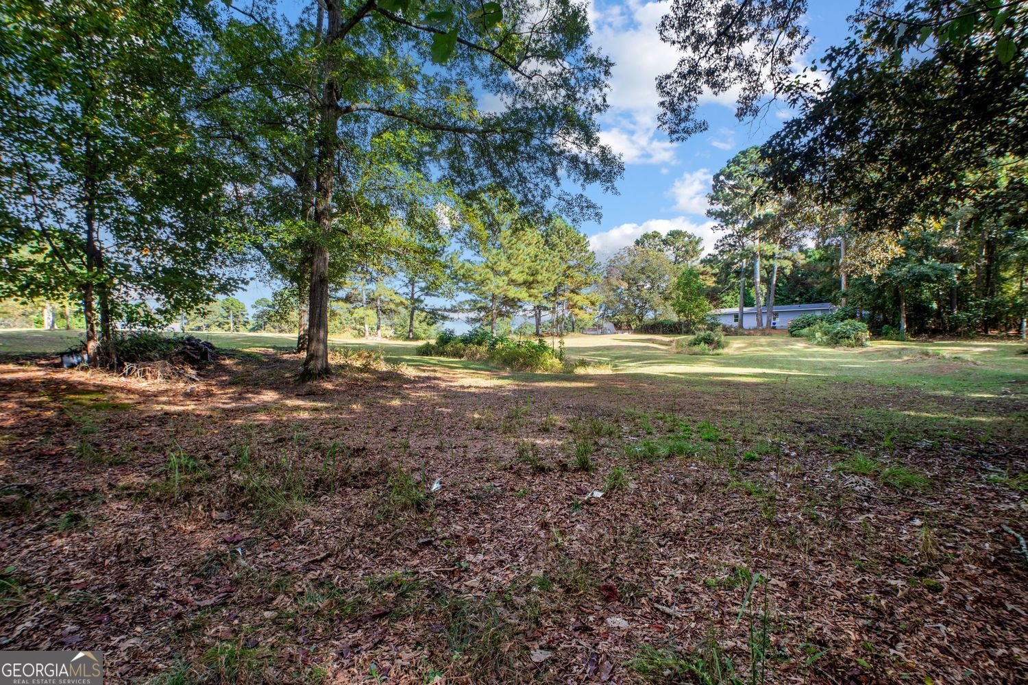 5570 Bold Springs Road Dacula - 33