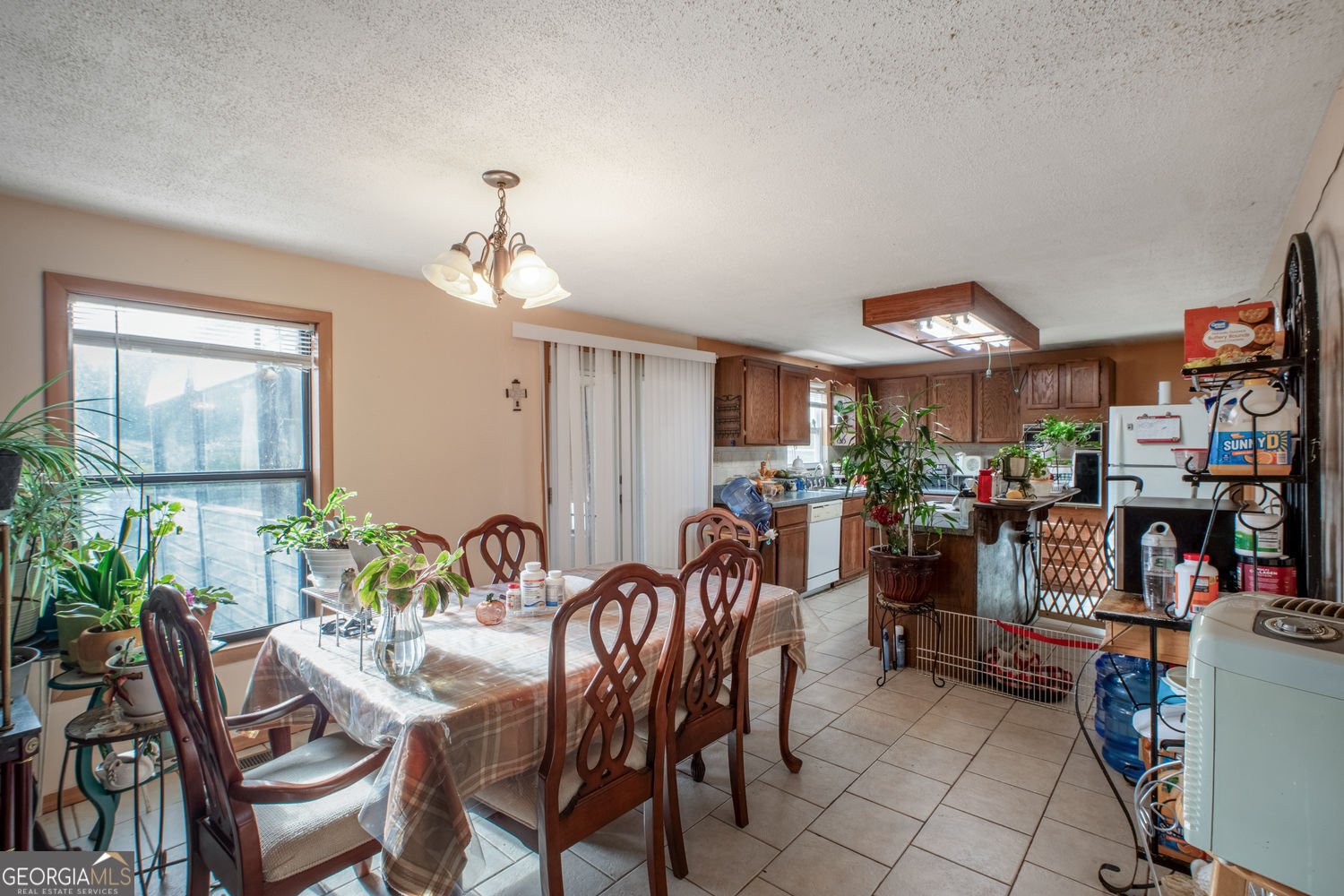 5570 Bold Springs Road Dacula - 8