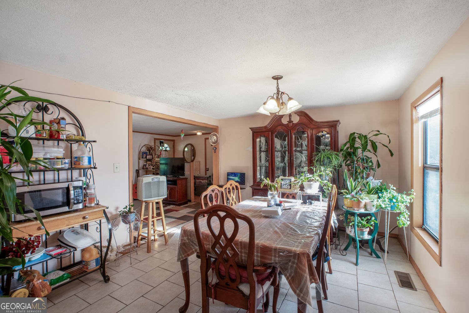 5570 Bold Springs Road Dacula - 9