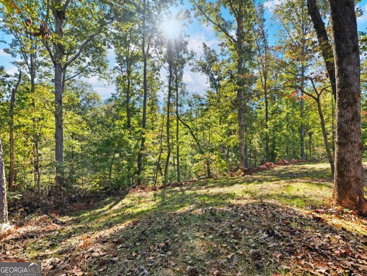 1320 Heads ferry rd Cornelia - 19