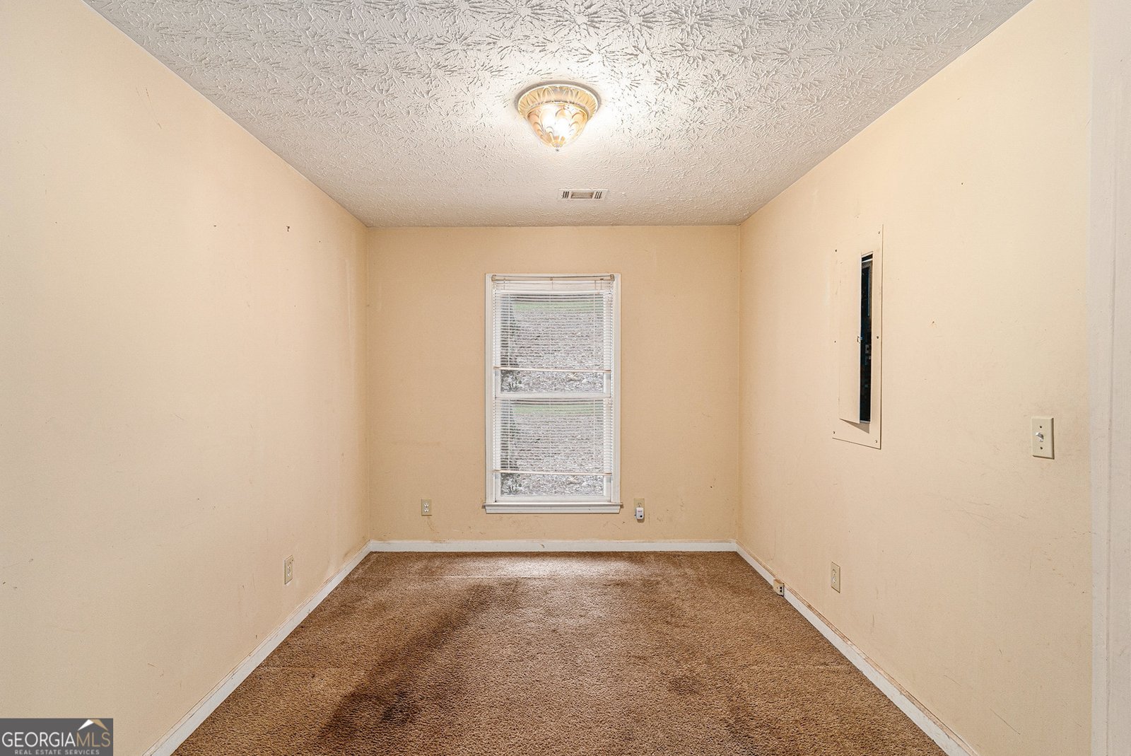 14908 Brown Bridge Road Covington - 10